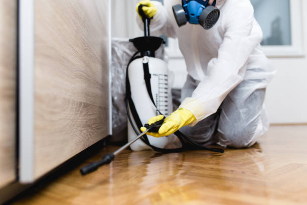 Best Pest Prevention Services  in Texas City, TX