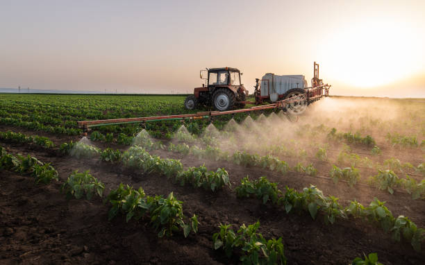 Reliable Texas City, TX Pest Control Solutions