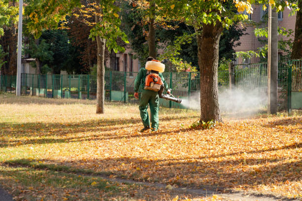 Best Termite Control Services  in Texas City, TX