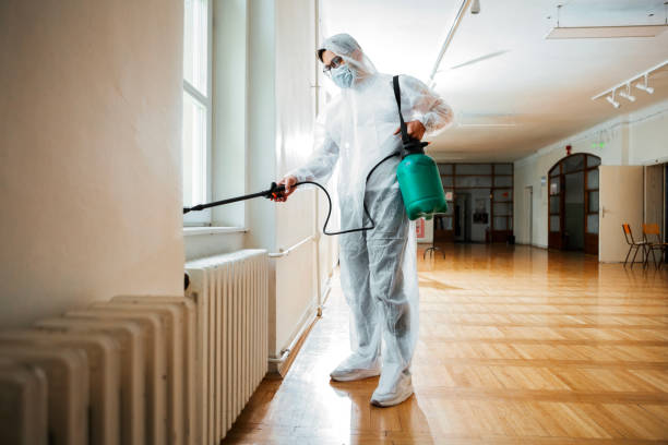 Best Affordable Pest Control Services  in Texas City, TX